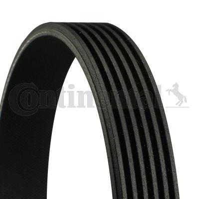 CONTINENTAL, Audi BMW Porsche VW V-Ribbed Belt