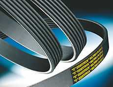 MAXPART, Audi BMW Porsche VW V-Ribbed Belt