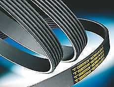 MAXPART, Audi BMW VW V-Ribbed Belt