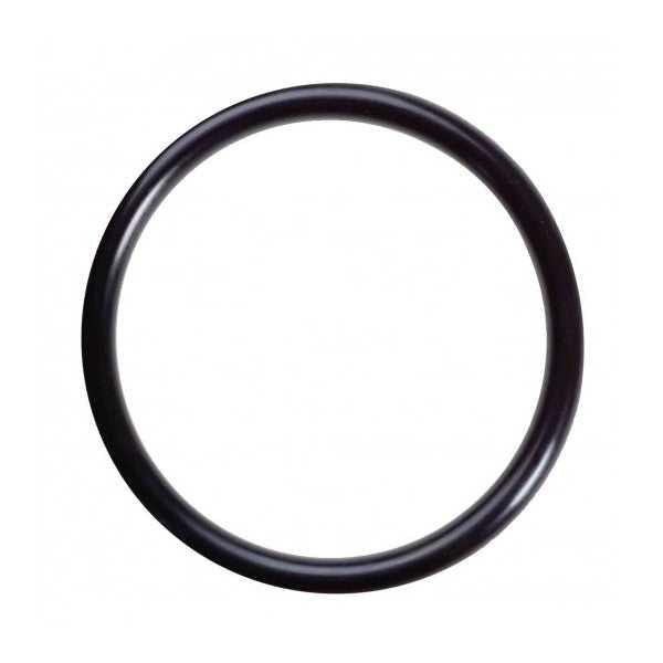 SJ TRIALS PARTS, BETA EVO PETROL CAP O RING SEAL