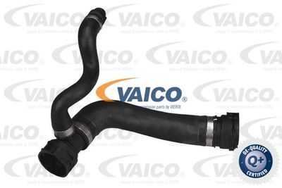 VAICO, BMW Engine Coolant Radiator Water Hose