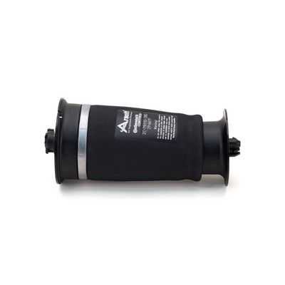 ARNOTT, BMW Pneumatic Air Spring Suspension Rear