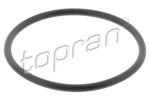 TOPRAN, BMW Porsche VW Thermostat Gasket