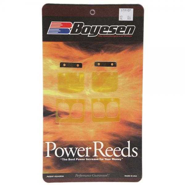 BOYESEN, BOYESEN POWER REEDS BETA REV/EVO